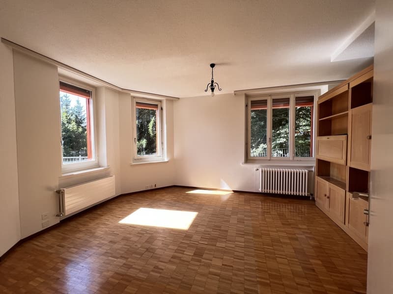 BERGWOHNUNG - Ferienwohnung auf Rigi-Kaltbad (2)