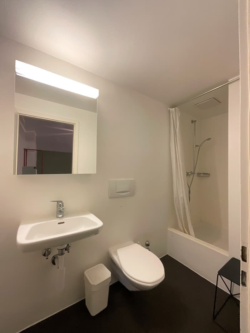 2.5-Zimmerwohnung in der Stad Luzern zum vermieten (4)