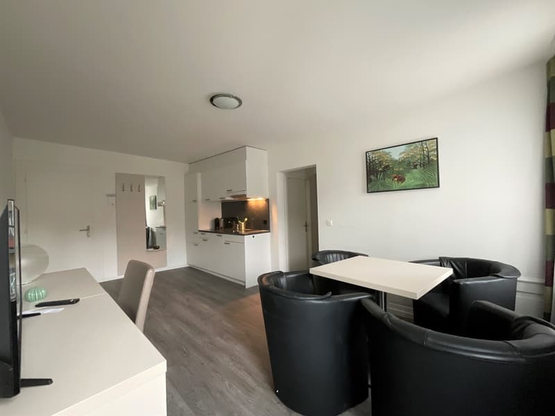 2.5-Zimmerwohnung in der Stad Luzern zum vermieten (2)