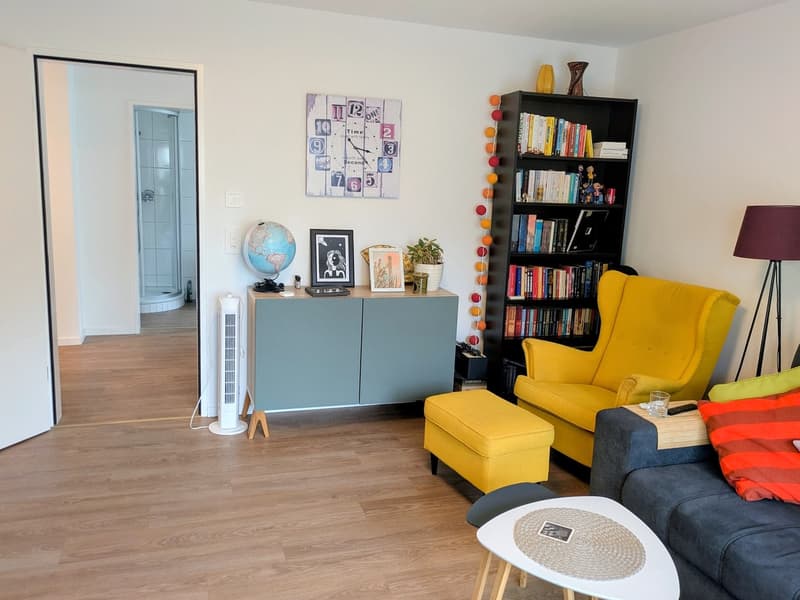 Schöne 3.5 Zimmerwohnung (13)