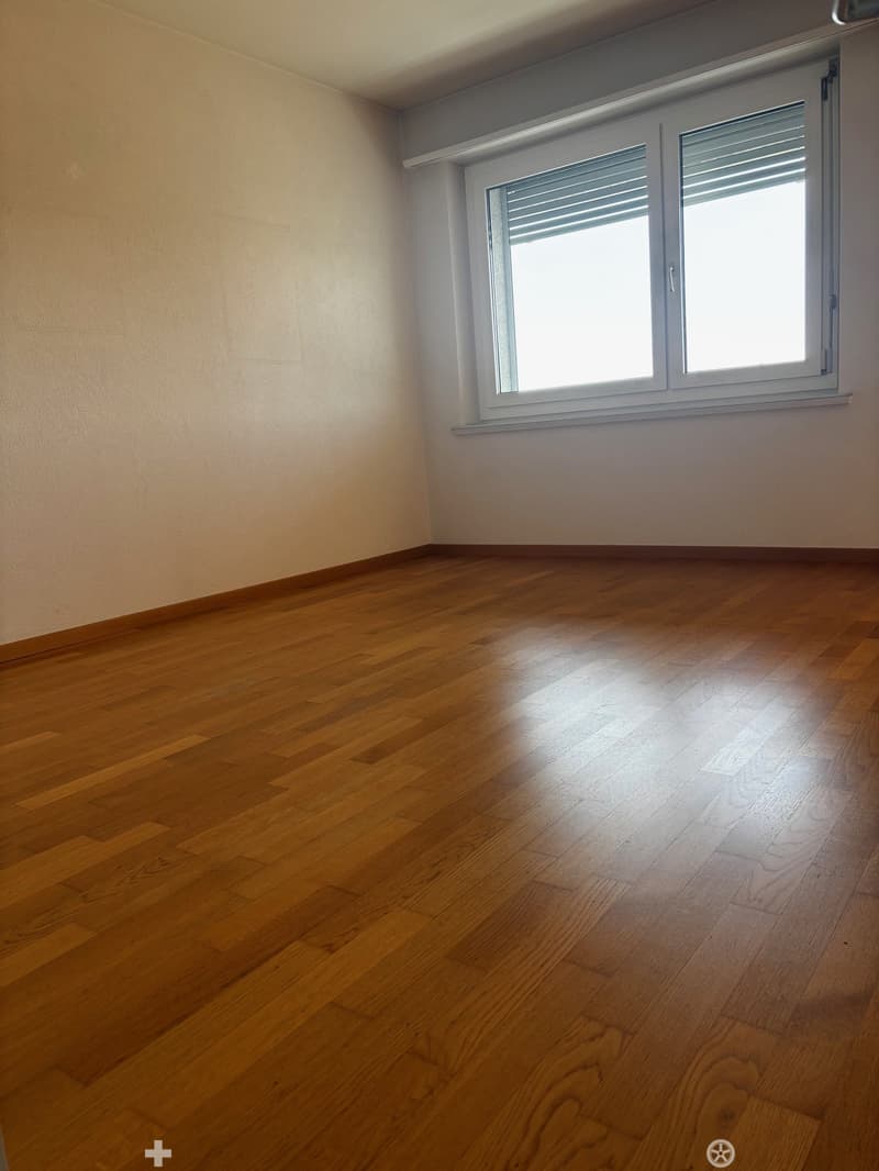 3.5-Zimmer-Attikawohnung mit Panoramablick in Biel (7)