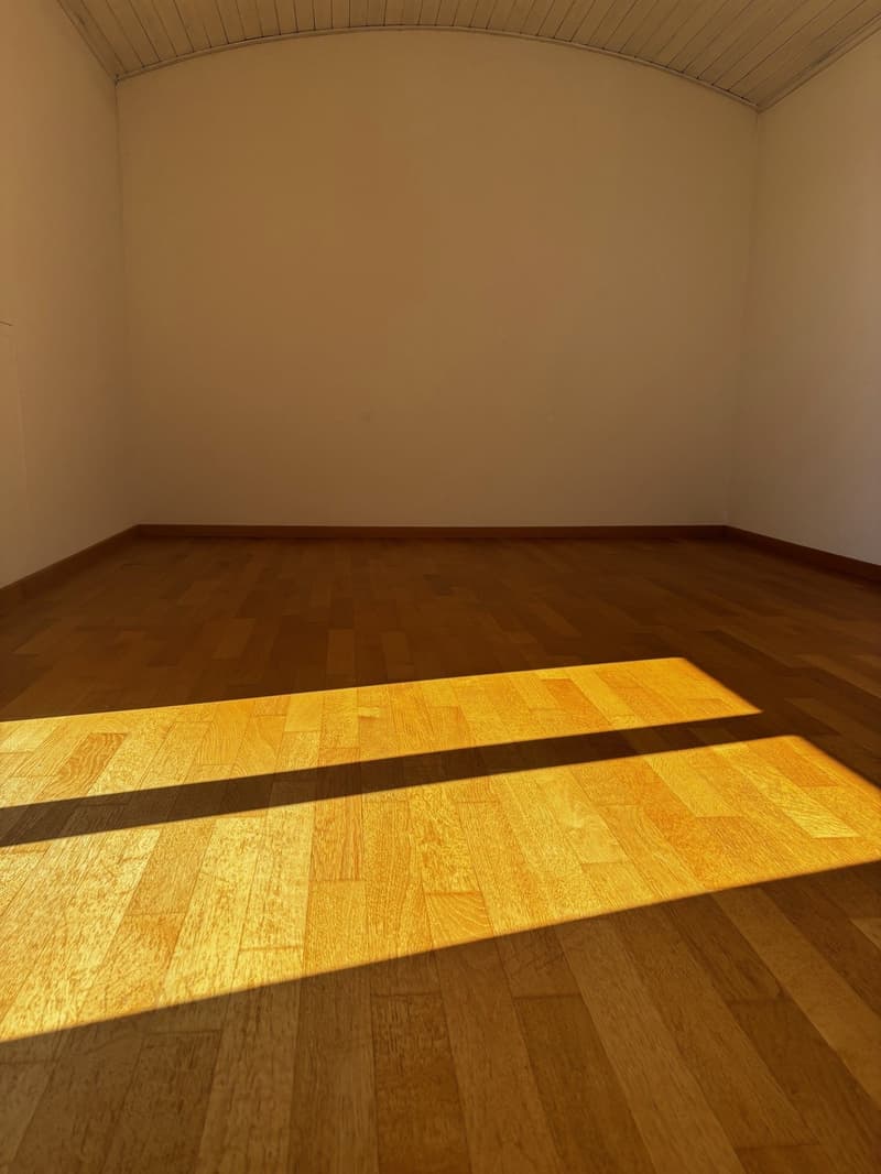 3.5-Zimmer-Attikawohnung mit Panoramablick in Biel (12)