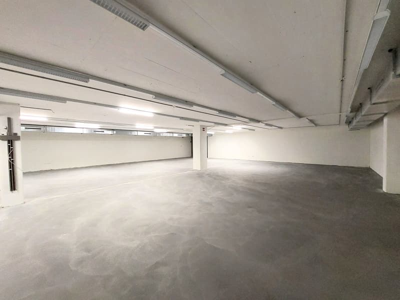 Lagerräume von 80m2 bis 400m2 (2)