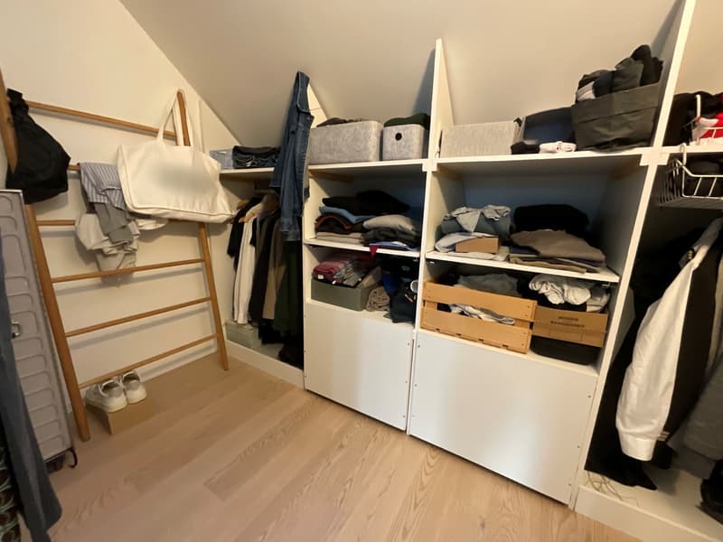 Wohnen am Zürichsee ruhig, klar, verbunden (9)