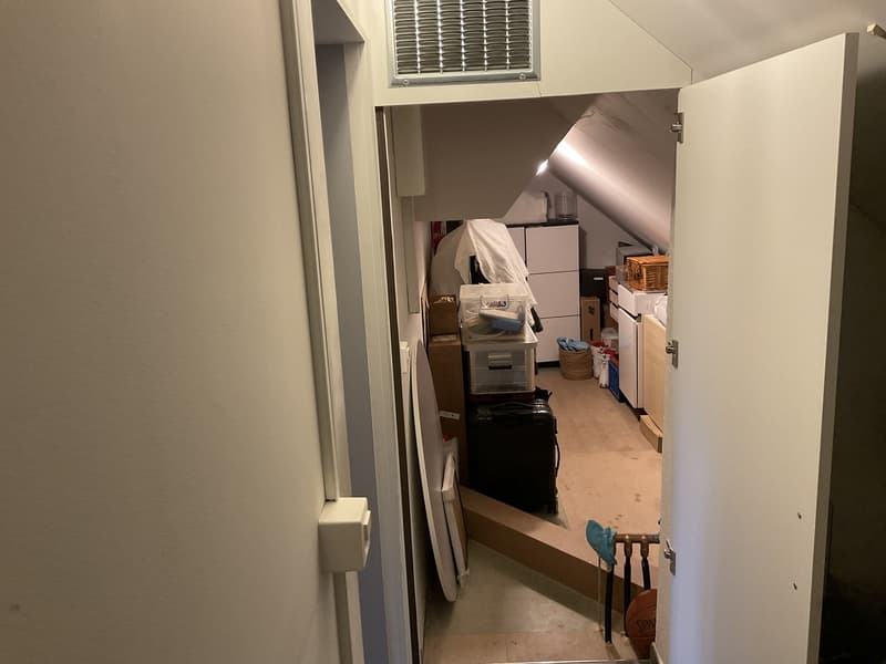 Wohnen am Zürichsee ruhig, klar, verbunden (13)