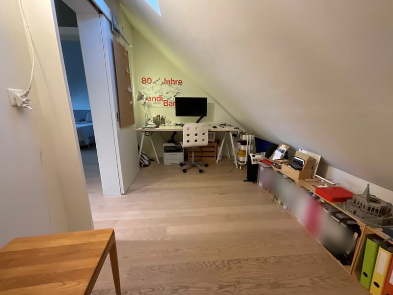 Wohnen am Zürichsee ruhig, klar, verbunden (11)