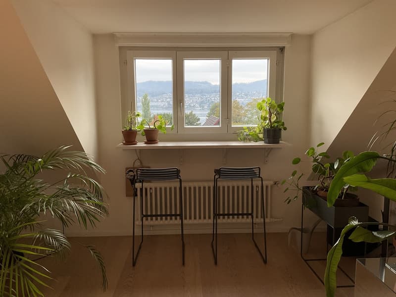 Wohnen am Zürichsee ruhig, klar, verbunden (5)