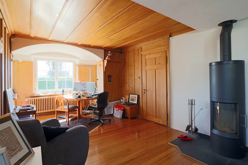 Familienidylle auf 1'400 m² - Villa mit Charme, Garten und Geschichte (6)