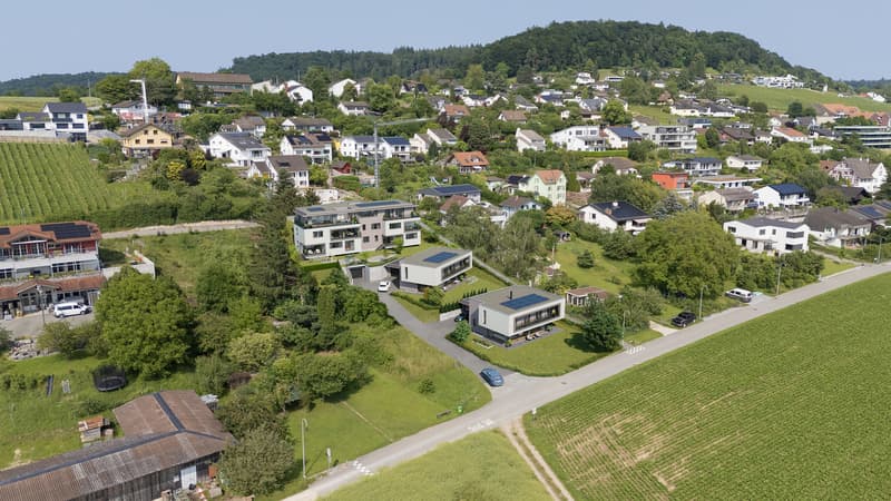 Sonnige Aussichten in Uhwiesen. (3)