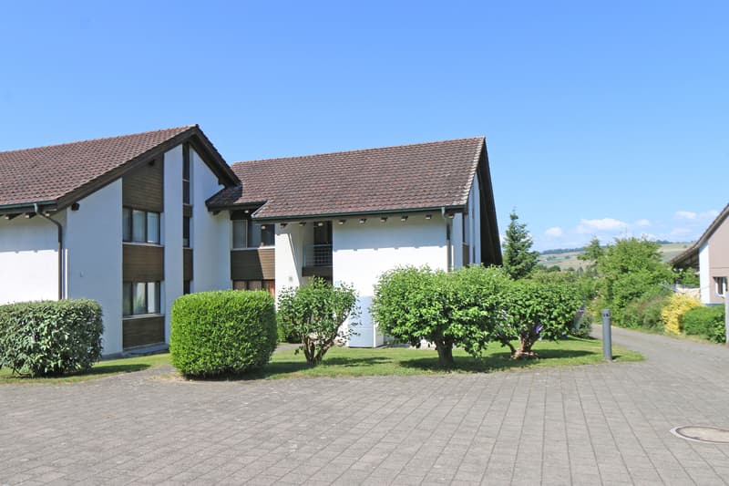 Familienfreundliches Einfamilienhaus mit grossem Garten (11)