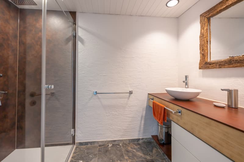 exklusive 4.5 - 5.5 Zimmer Architekten-Villa mit Alpenpanorama (7)