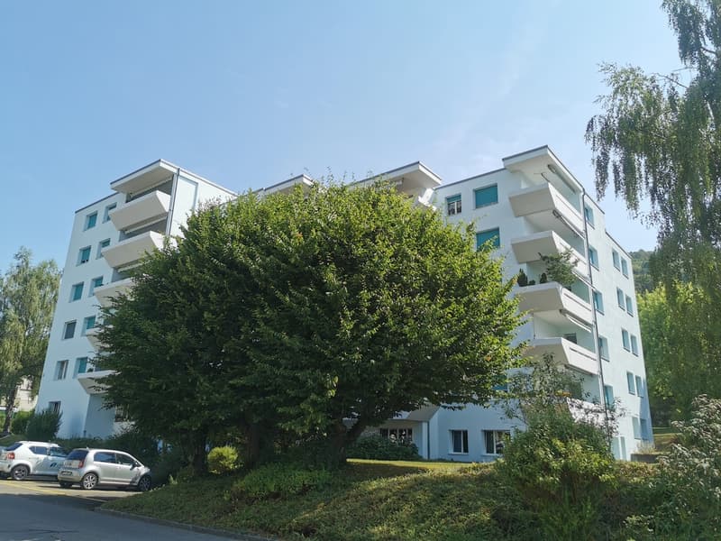 Wohnen mit Weitblick - gepflegte 4.5-Zi-Wohnung im obersten Geschoss (1)