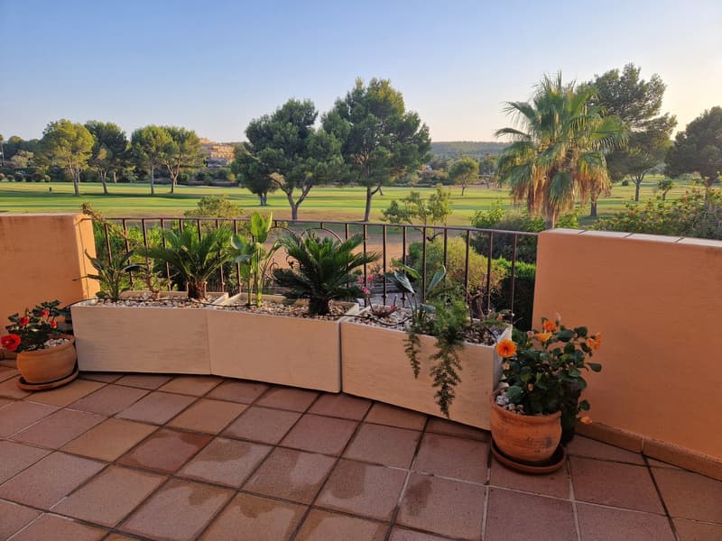outdoor garden with trees and plants, tiled flooring, railing, large green grass field in the distance