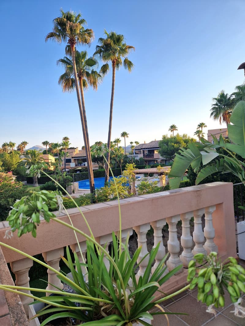 View of a terrace with plants overlooking a large swimming pool and green palm trees, a residential community in the background.