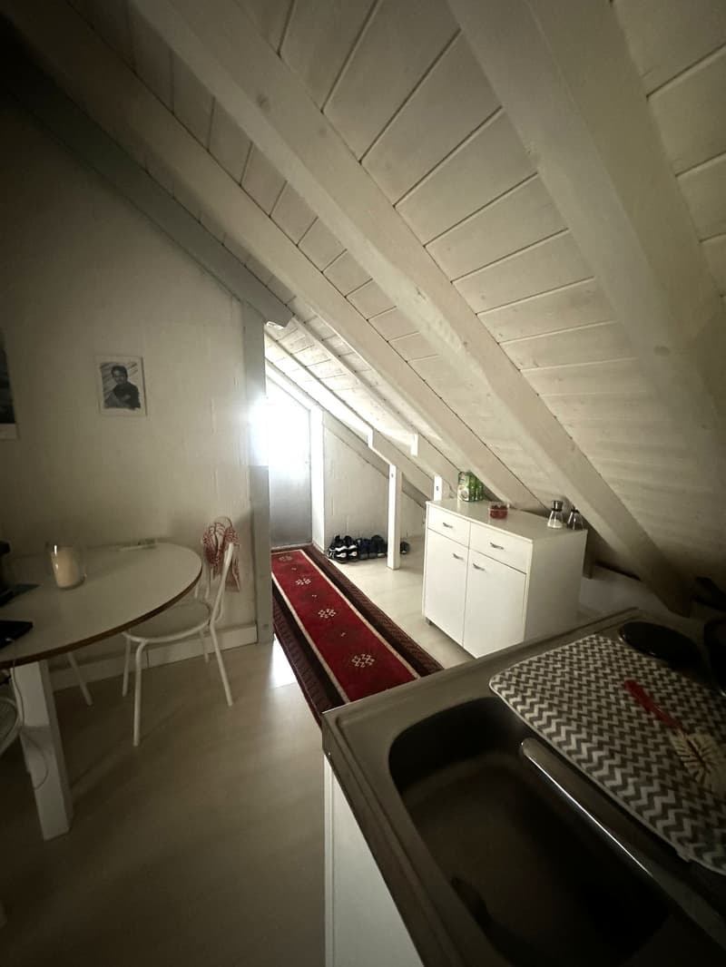 Charmante 1-Zimmer-Dachgeschosswohnung in Gutenswil (10)