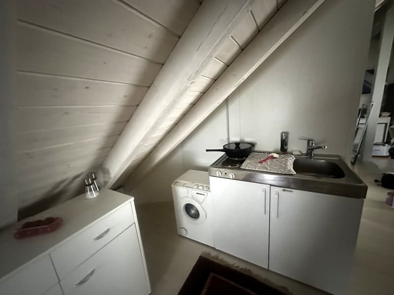Charmante 1-Zimmer-Dachgeschosswohnung in Gutenswil (8)