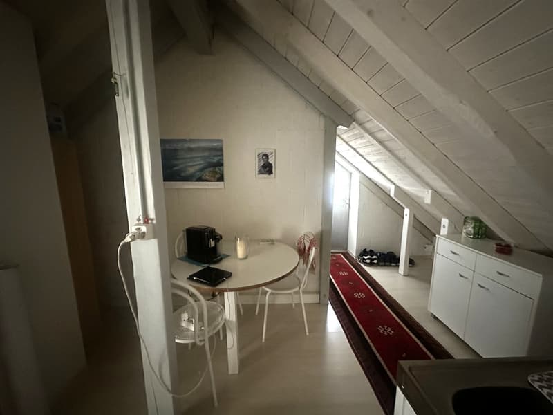 Charmante 1-Zimmer-Dachgeschosswohnung in Gutenswil (1)