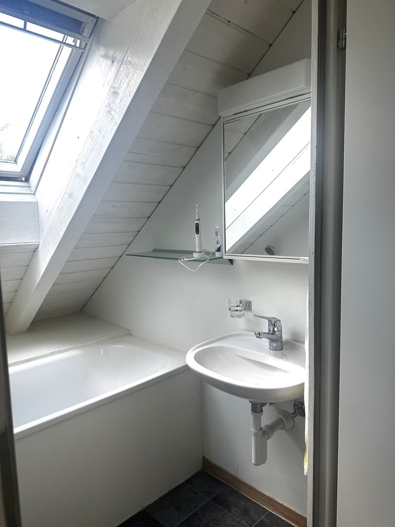 Charmante 1-Zimmer-Dachgeschosswohnung in Gutenswil (3)