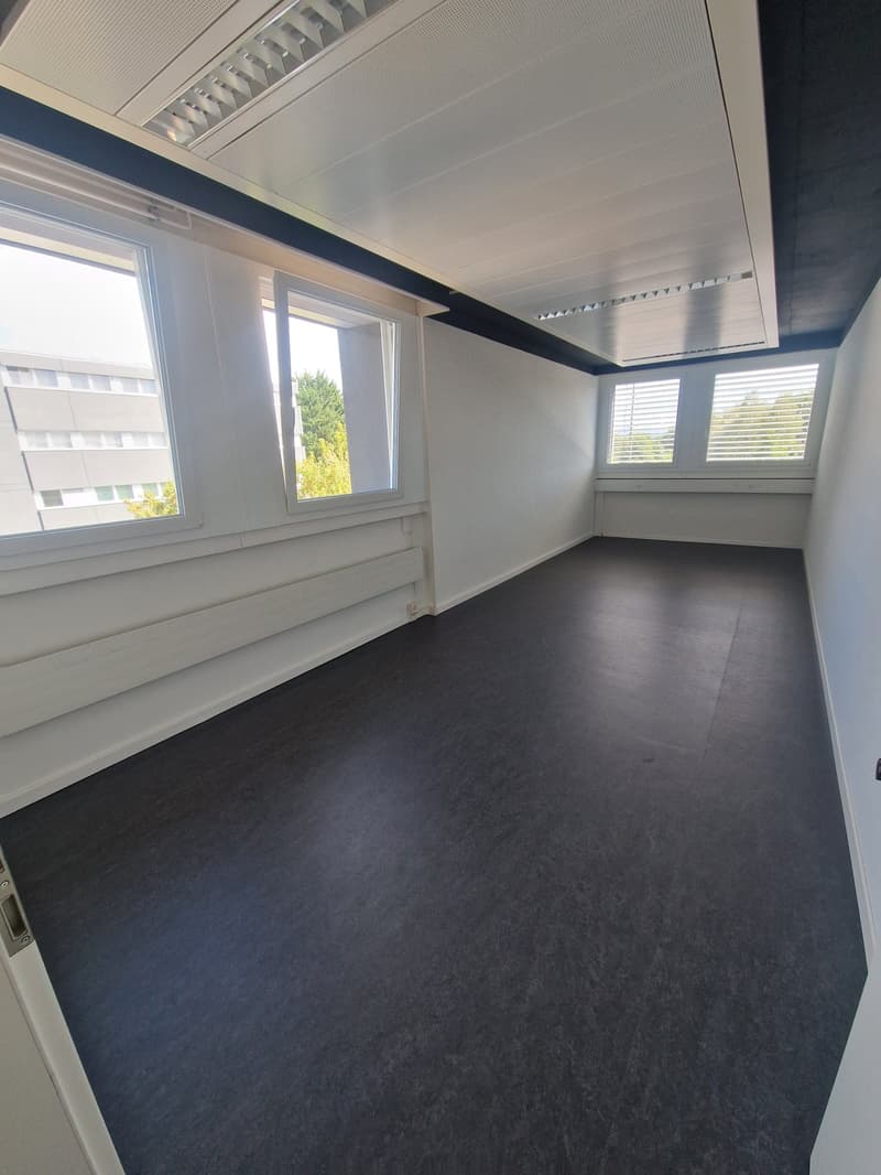 BUSINESS-POOL VOLKETSWIL (EIN EIGENES BÜRO IN BESTER GESELLSCHAFT) (1)