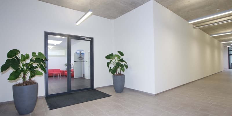 Empty room with white walls, tiled floor, two large potted plants, glass door, black mat, red couches in the background