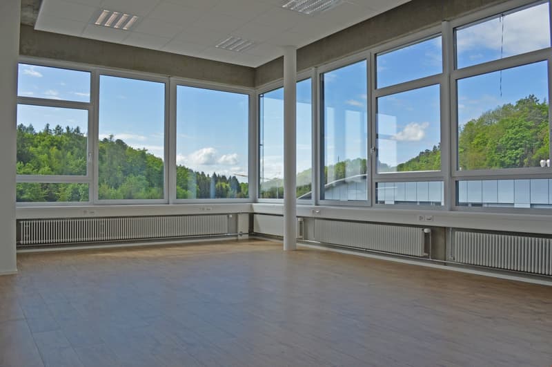 large windows, wooden floor, white radiators, view of trees and mountains