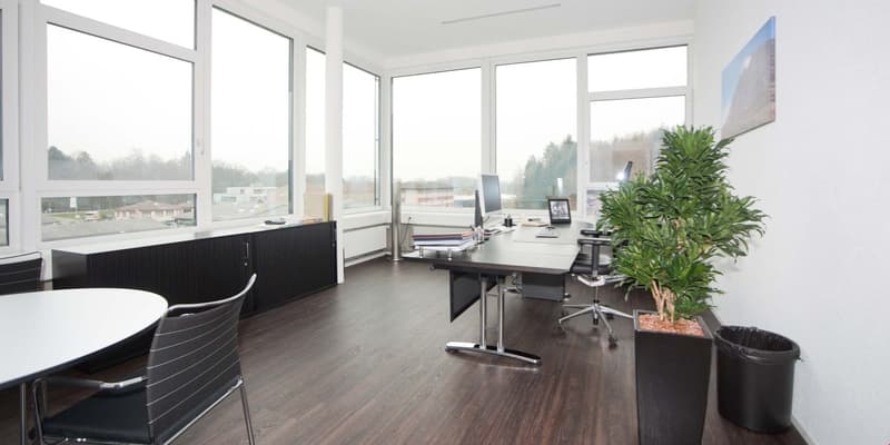 modern office room with large windows, wooden floor, desk, chairs, plants, radiator, picture frame, monitor, keyboard, books