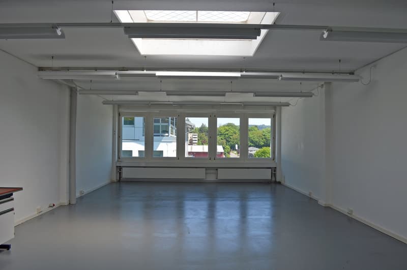 Attraktiver Gewerberaum mit viel natürlichem Licht (3)