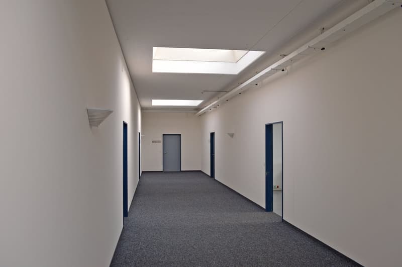 Attraktiver Gewerberaum mit viel natürlichem Licht (2)
