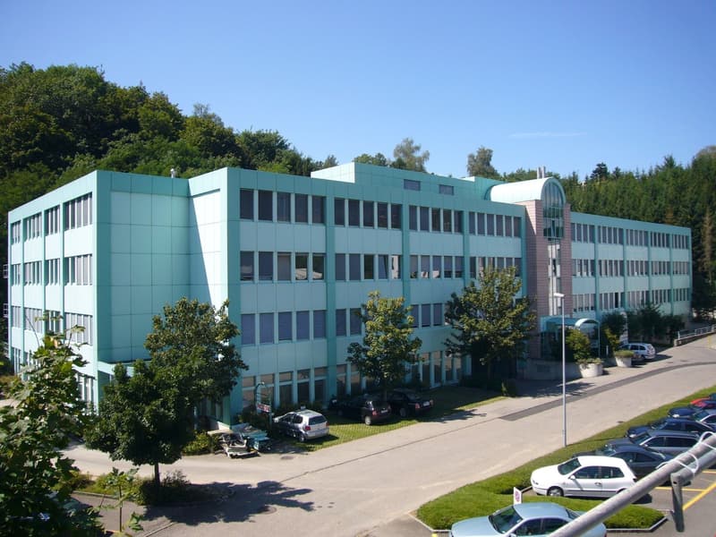 Attraktiver Gewerberaum mit viel natürlichem Licht (1)
