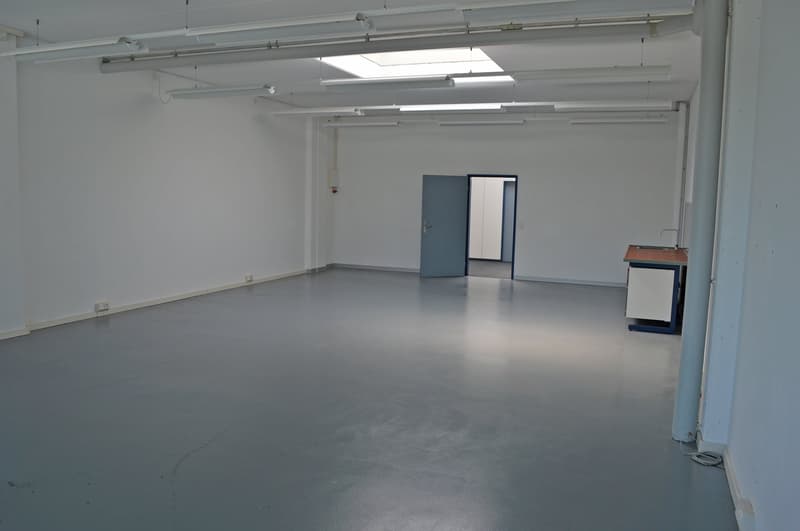 Attraktiver Gewerberaum mit viel natürlichem Licht (5)