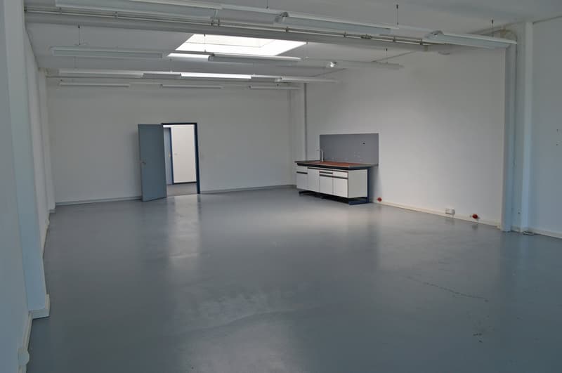 Attraktiver Gewerberaum mit viel natürlichem Licht (4)