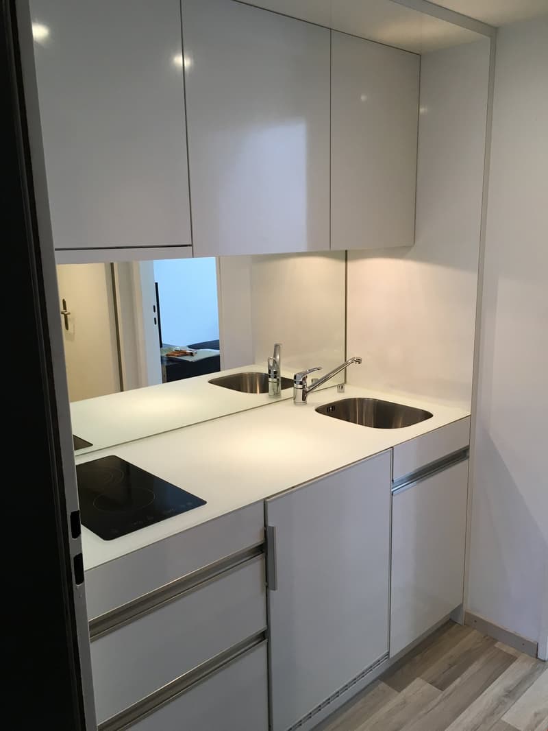 modern white kitchen with double sink, induction stove, dishwasher and built-in cabinets