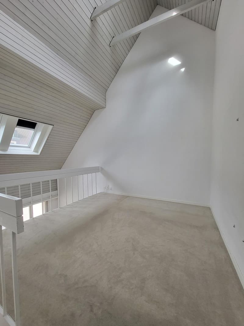 raised ground floor with window, light on the ceiling, carpet