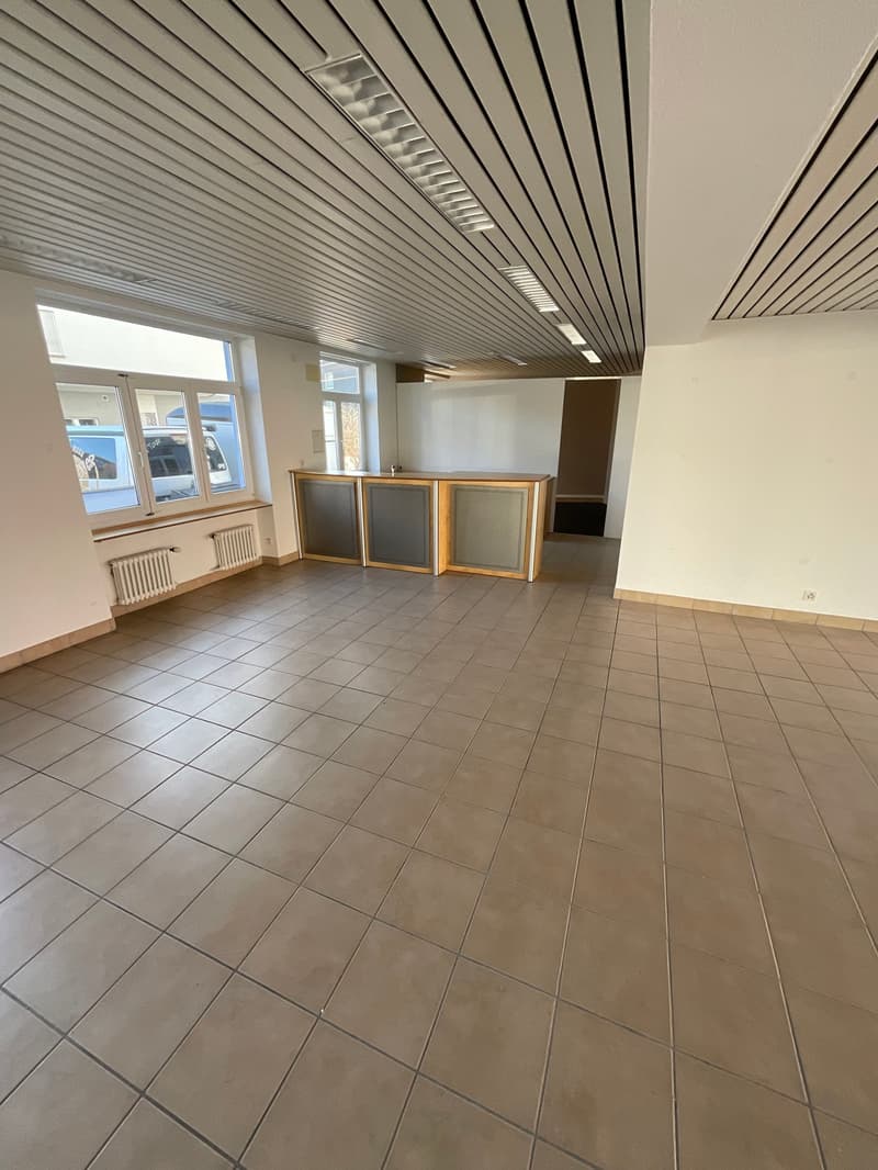 Gewerberaum mit Parkplätzen (12)
