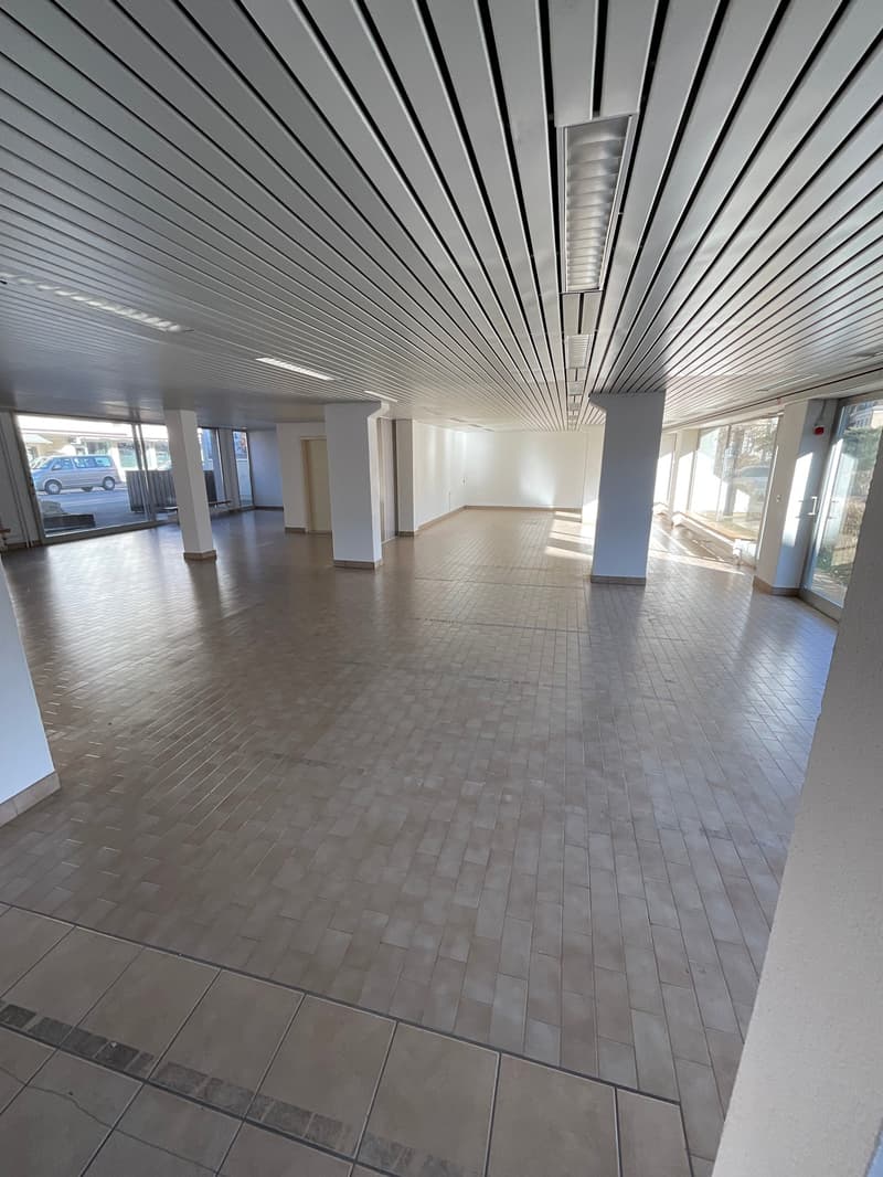 Gewerberaum mit Parkplätzen (7)