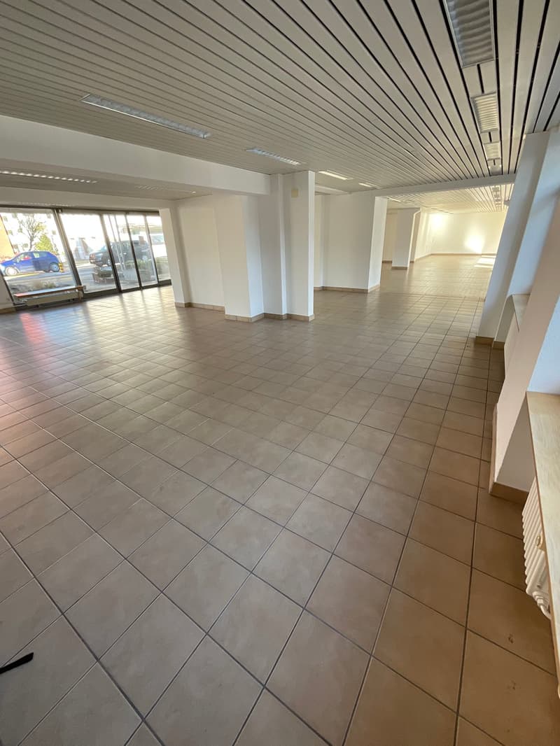 Gewerberaum mit Parkplätzen (8)
