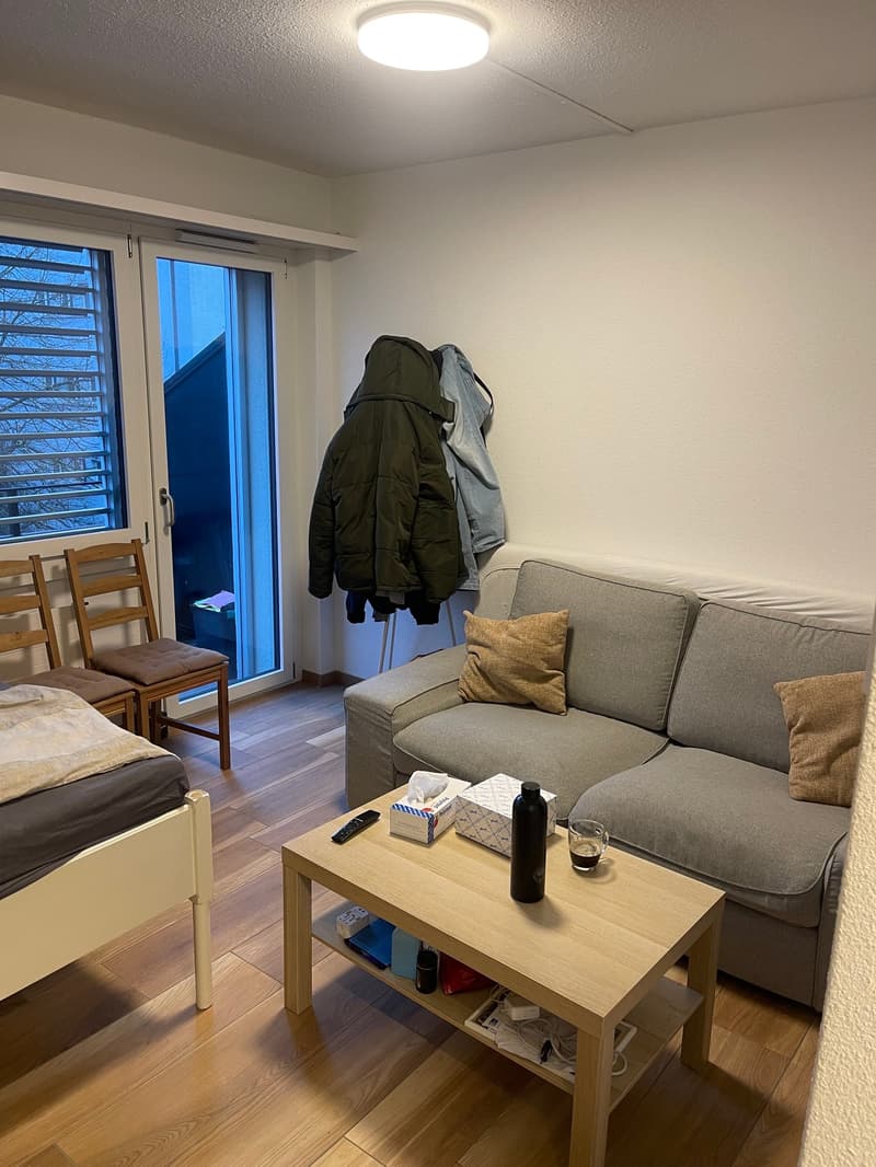 Moderne 1-Zimmerwohnung (4)