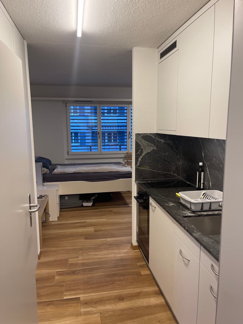 Moderne 1-Zimmerwohnung (1)