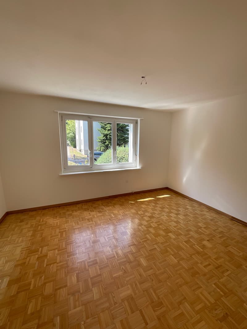 Frisch renovierte, 4- Zimmerwohnung (5)