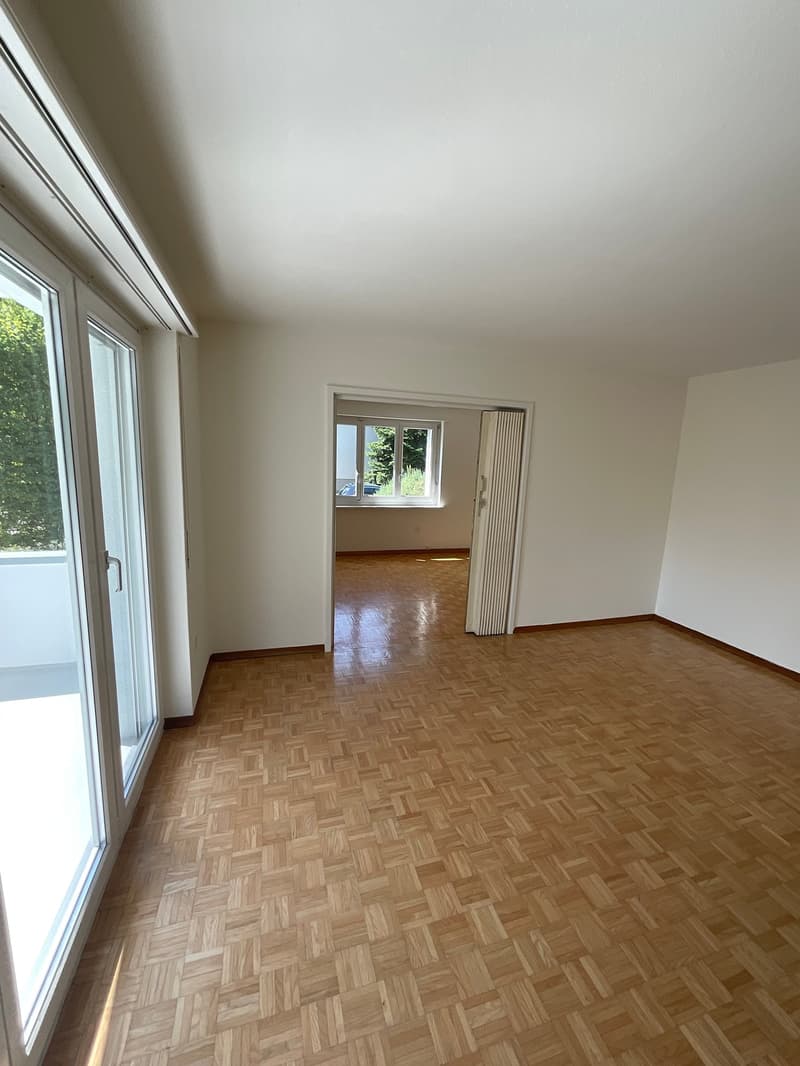 Frisch renovierte, 4- Zimmerwohnung (3)