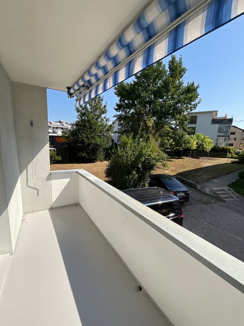 Frisch renovierte, 4- Zimmerwohnung (7)