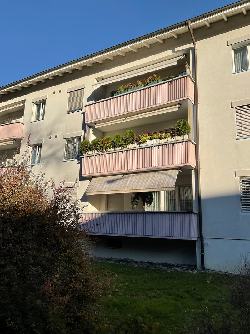 Frisch renovierte, 4- Zimmerwohnung (1)