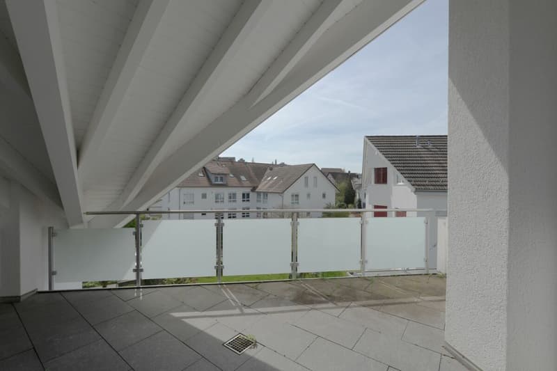 RESERVIERT - Über den Dächern von Henggart (14)