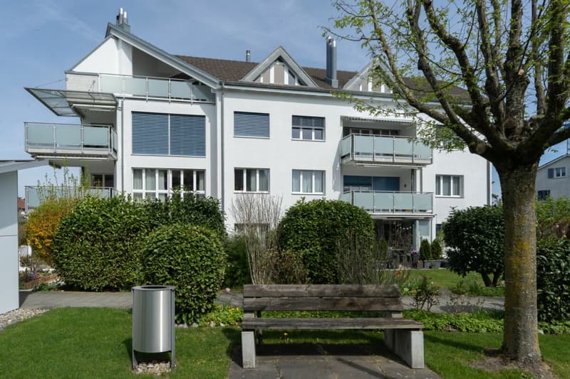 RESERVIERT - Über den Dächern von Henggart (2)