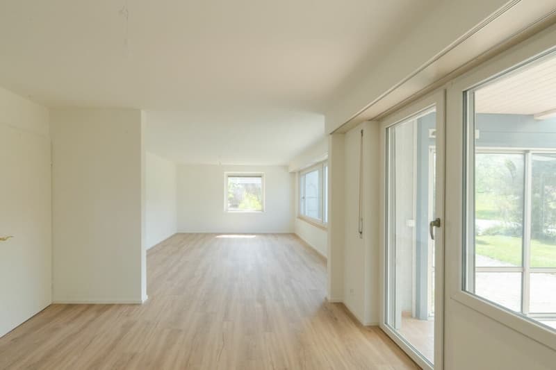 Grosses Einfamilienhaus mit Umschwung (8)