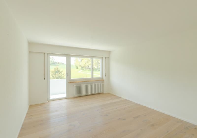 Grosses Einfamilienhaus mit Umschwung (15)