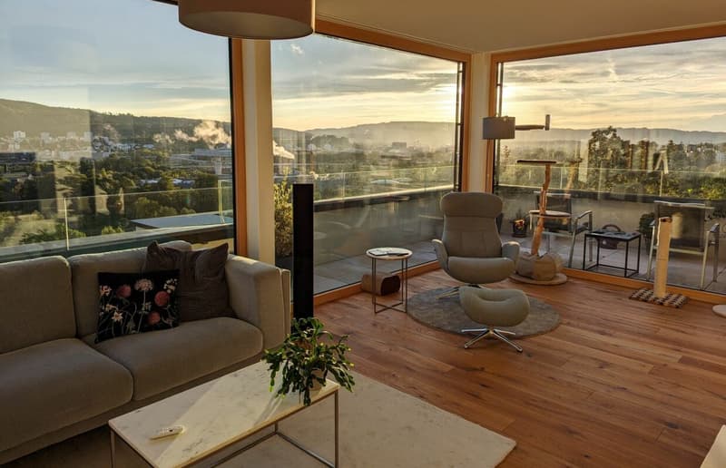 Exklusive Attikawohnung mit Panoramablick auf die Stadt! 189 M2 (1)