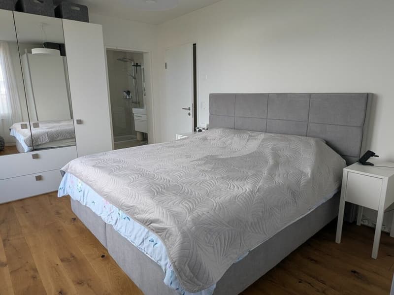 Exklusive Attikawohnung mit Panoramablick auf die Stadt! 189 M2 (6)