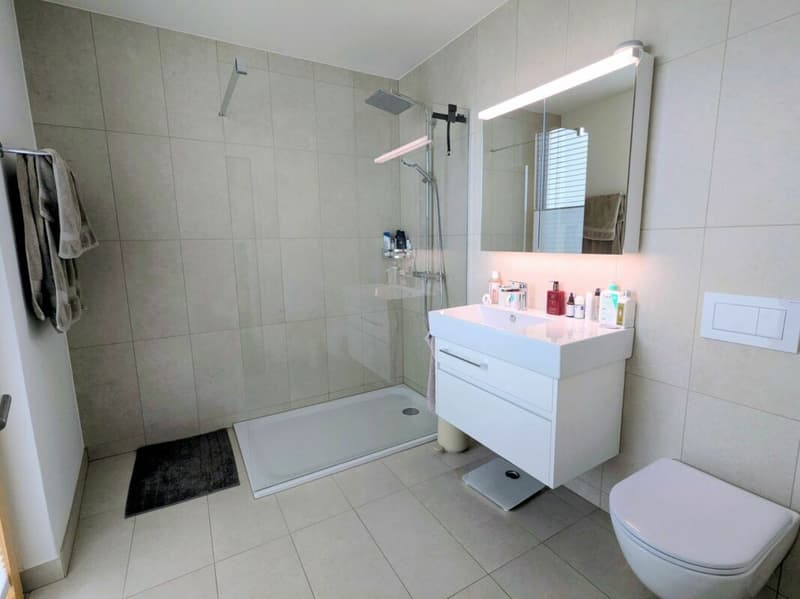 Exklusive Attikawohnung mit Panoramablick auf die Stadt! 189 M2 (8)