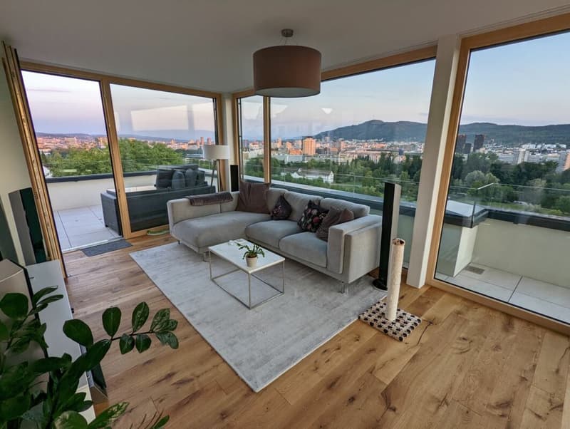 Exklusive Attikawohnung mit Panoramablick auf die Stadt! 189 M2 (2)